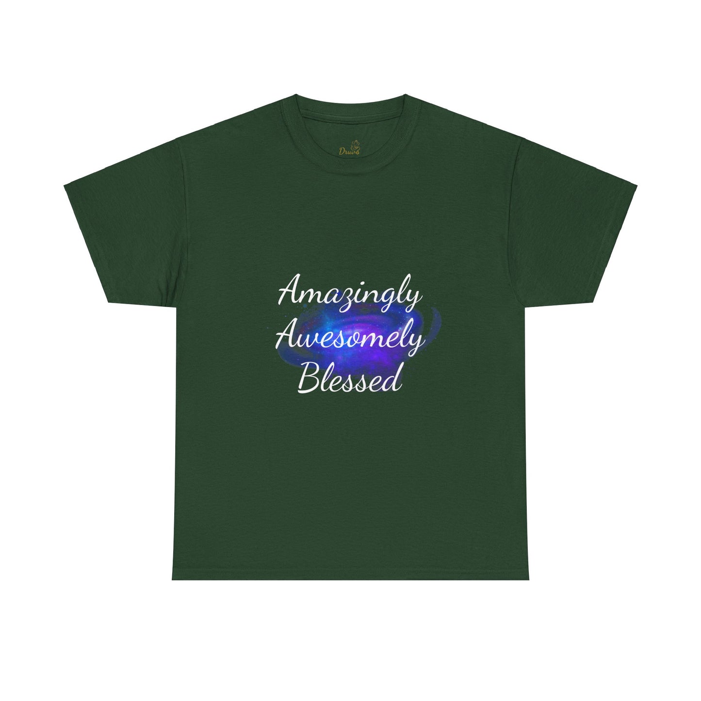 Amazingly Awesomely Blessed T-shirt - Inspirational T-shirt, Holiday Gift