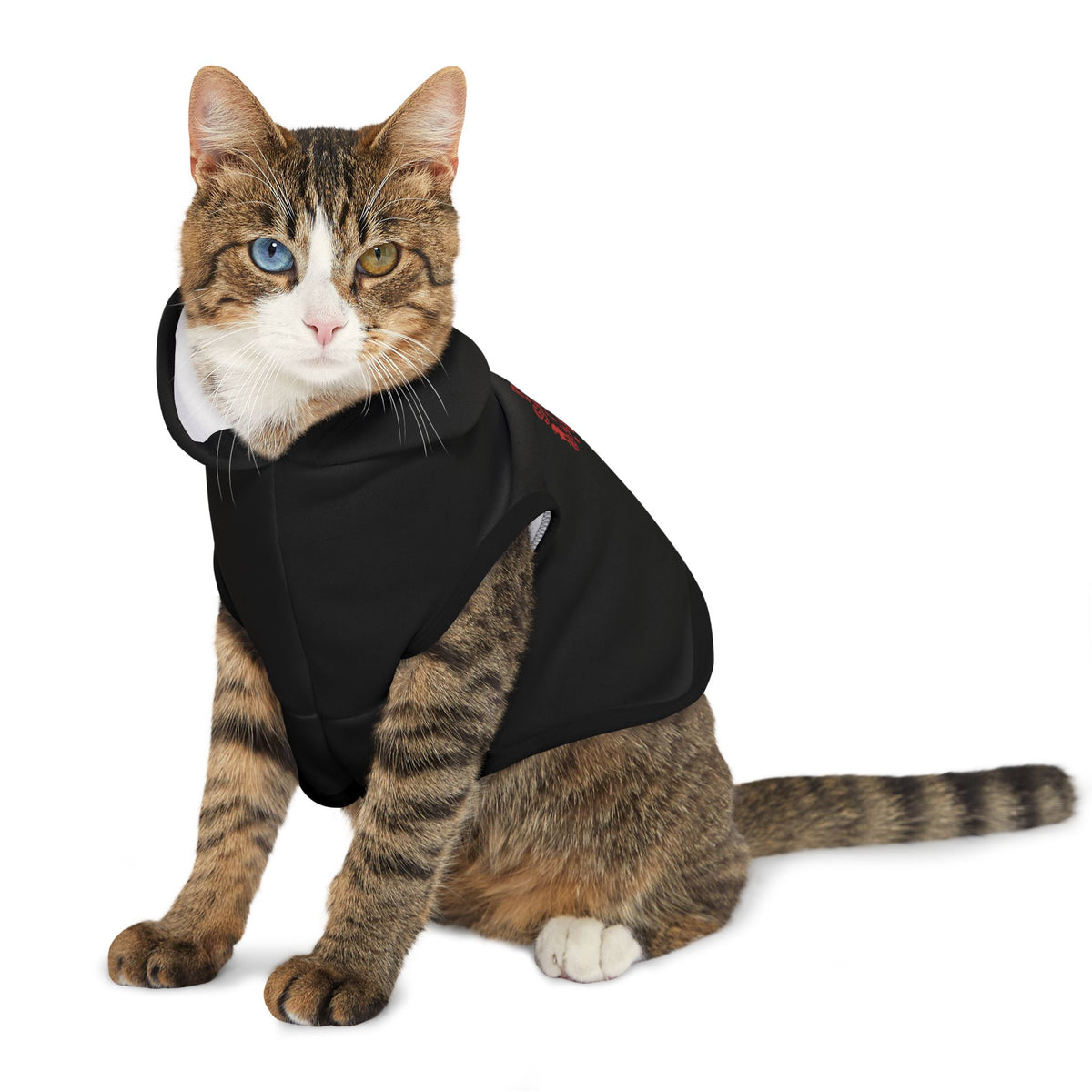 Dear Santa, I Can Explain Christmas Pet Hoodie – product photo 14 of 18
