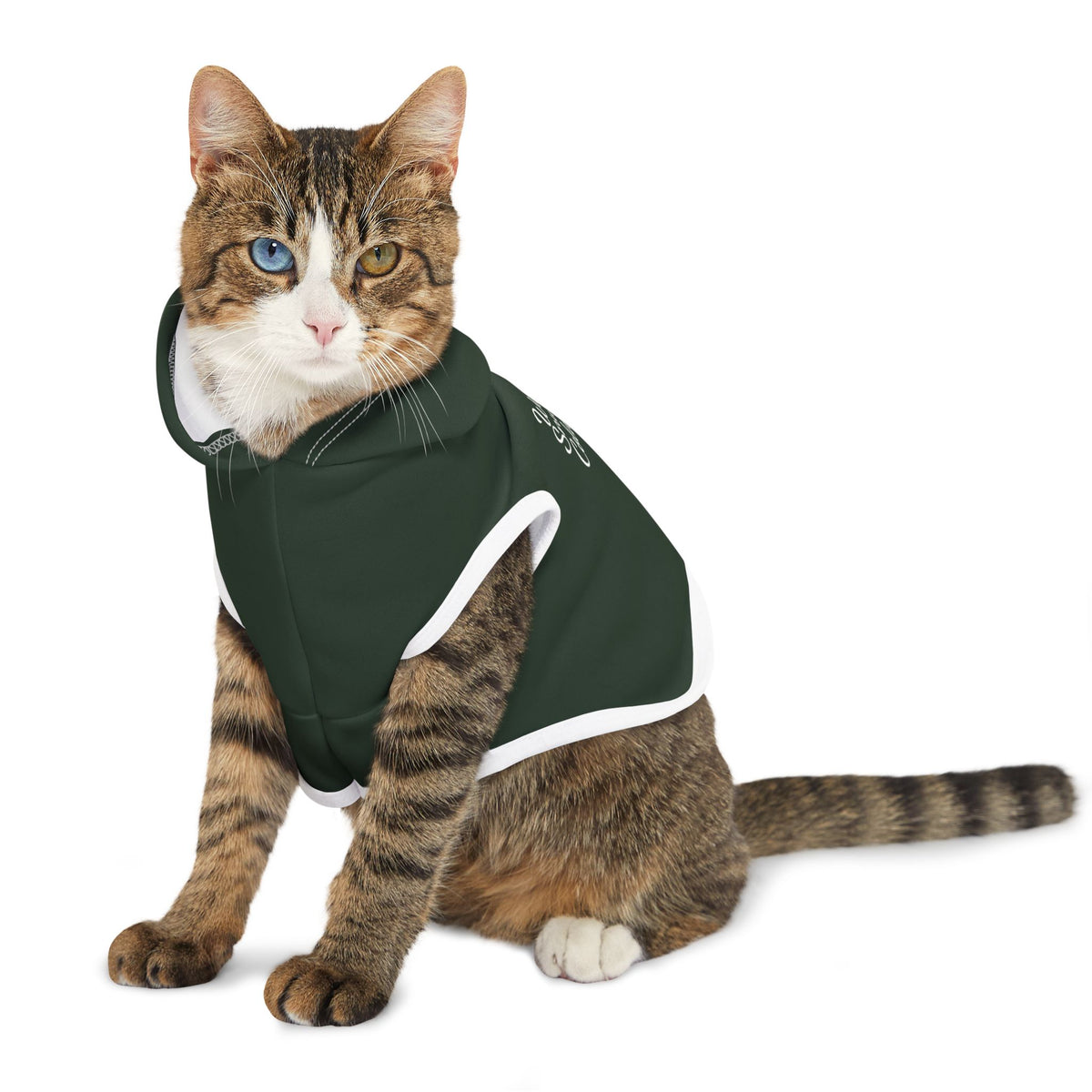 Warm Snuggles, Cold Noses Christmas Pet Hoodie – Cozy Dog Outfit – product photo 10 of 18