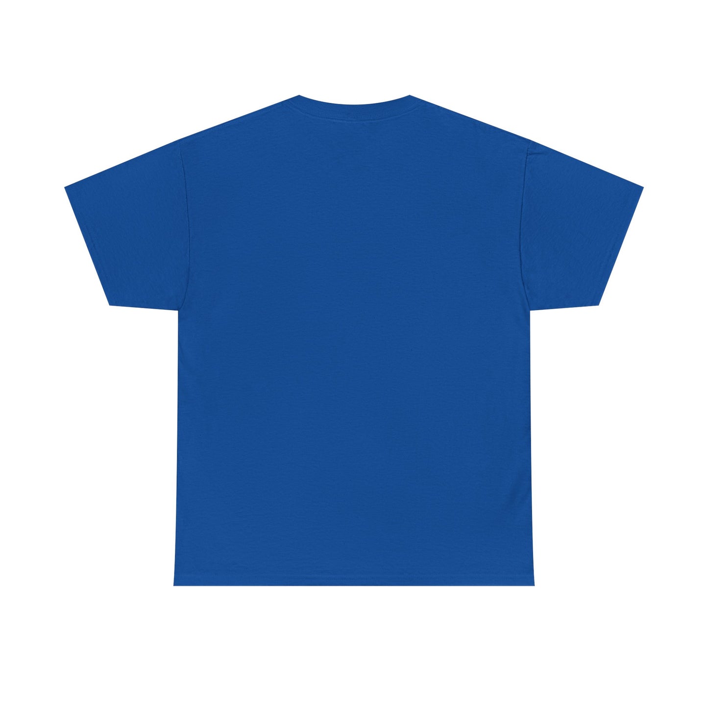 Shine Flow Prosper T-Shirt – Cosmic Manifestation Tee by Druvs