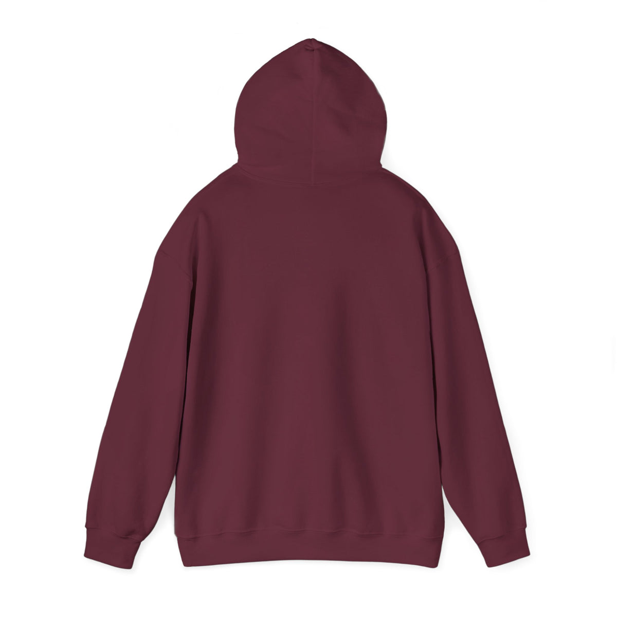 Follow Your Northern Light Unisex Hoodie – product photo 22 of 62