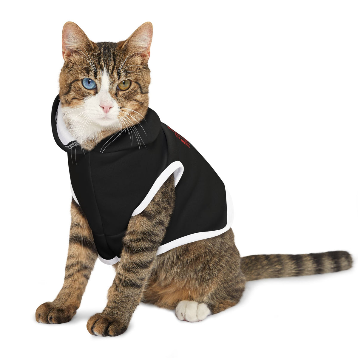 Dear Santa, I Can Explain Christmas Pet Hoodie – product photo 6 of 18