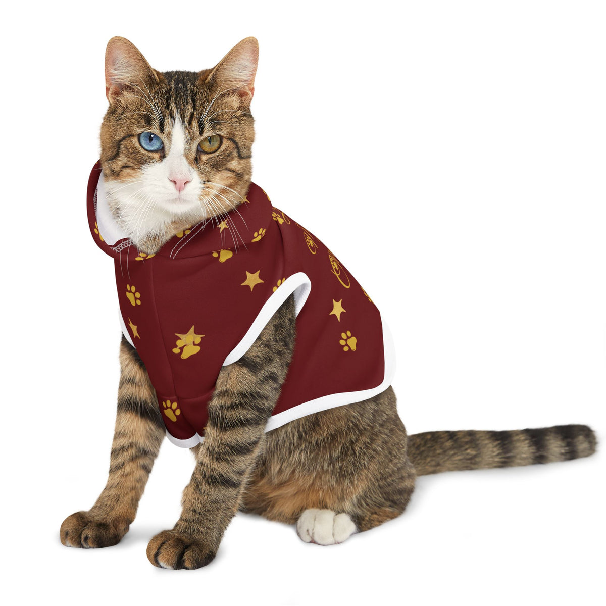 Cat sitting in red paw-print Christmas pet hoodie