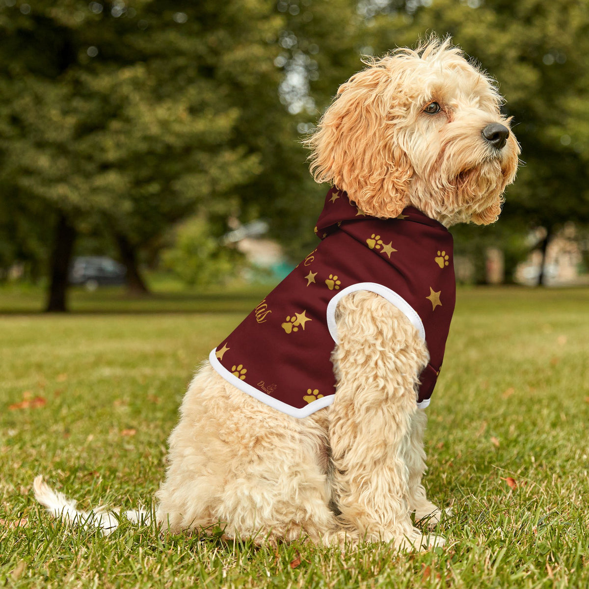 Dog sitting outdoors in red Christmas pet hoodie