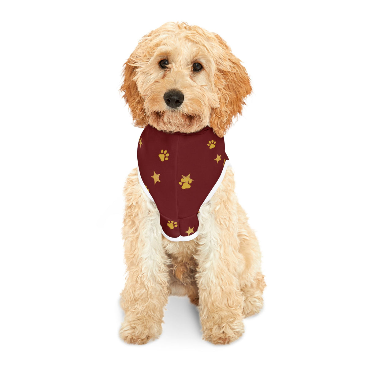 Dog wearing red Christmas pet hoodie viewed from the front