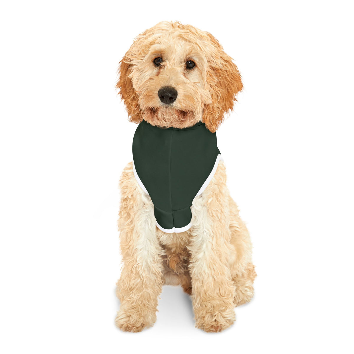 Warm Snuggles, Cold Noses Christmas Pet Hoodie – Cozy Dog Outfit – product photo 4 of 18