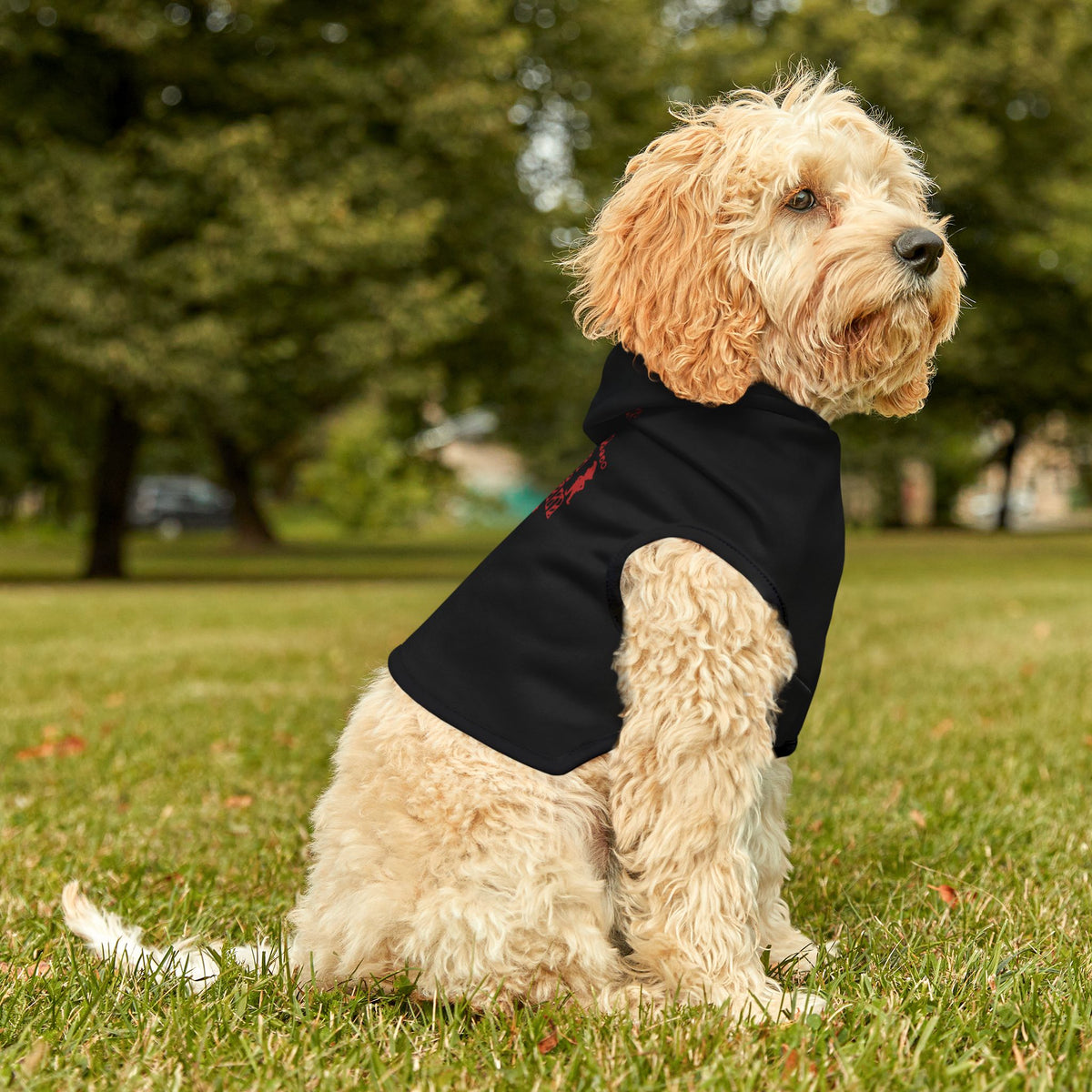 Dear Santa, I Can Explain Christmas Pet Hoodie – product photo 17 of 18