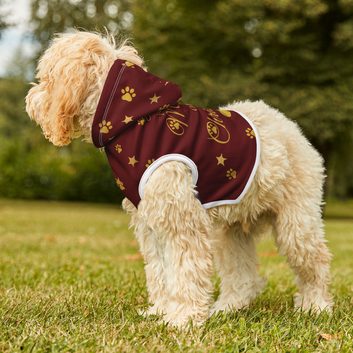Dog standing outdoors in Love Is the Magic of Christmas pet hoodie