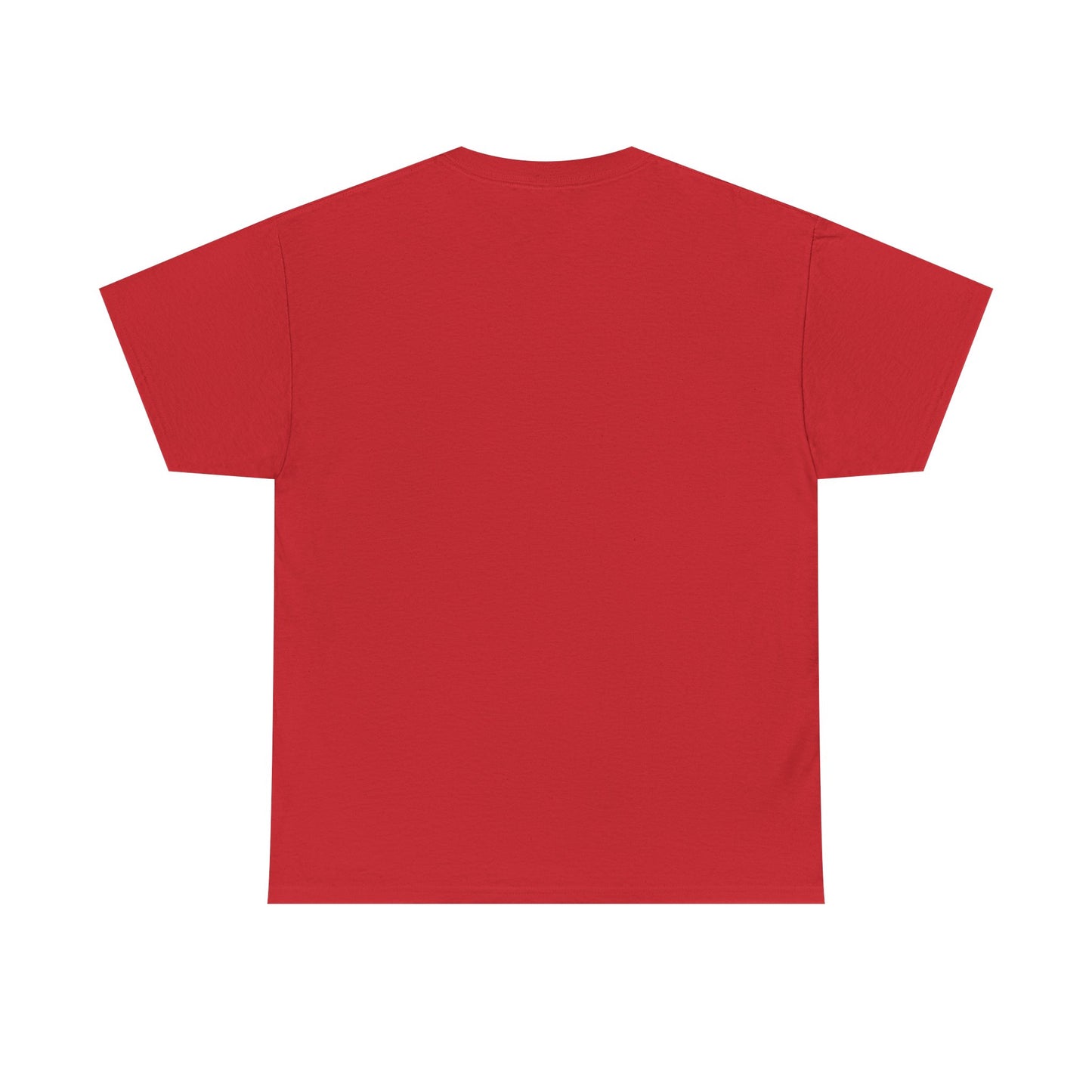 Shine Flow Prosper T-Shirt – Cosmic Manifestation Tee by Druvs