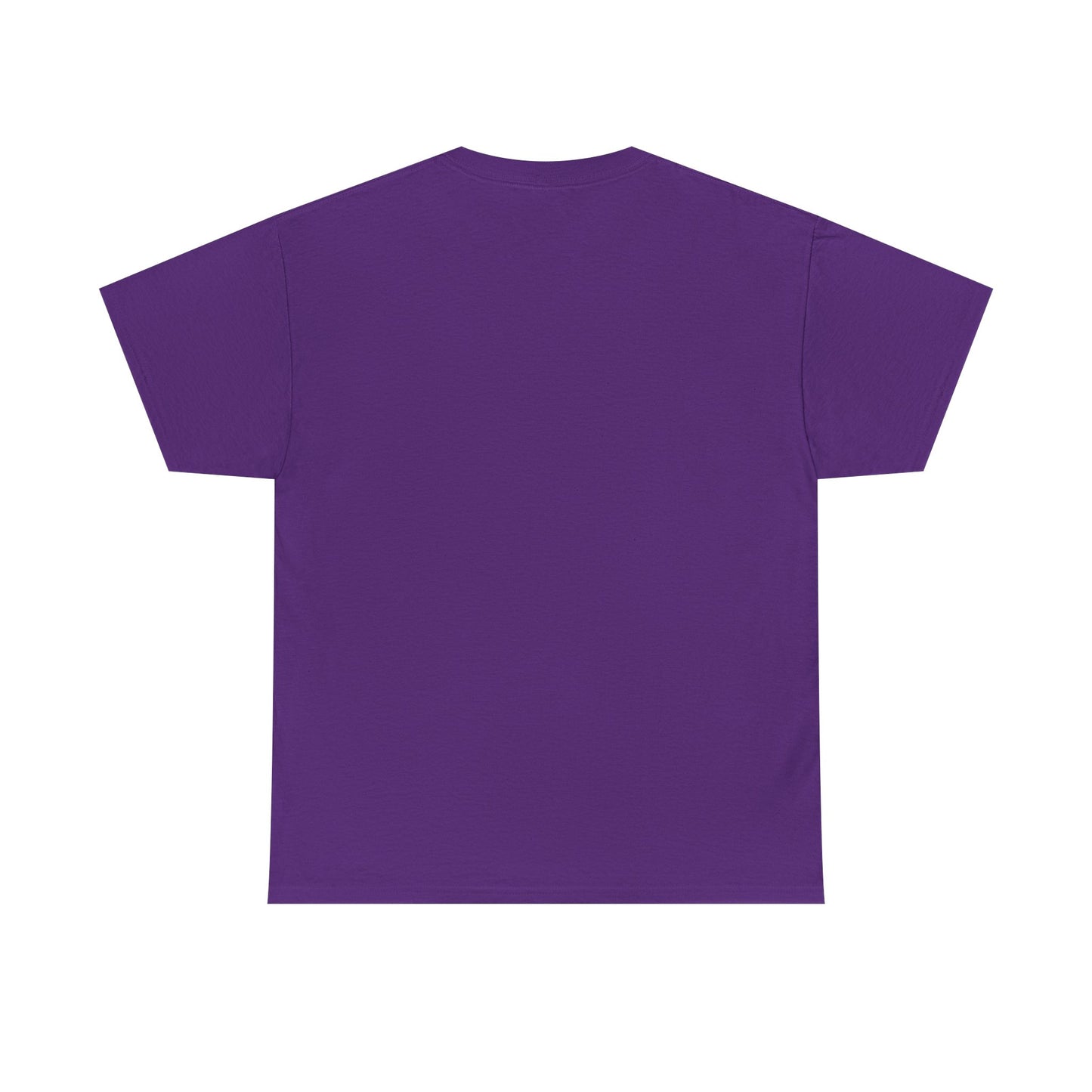 Shine Flow Prosper T-Shirt – Cosmic Manifestation Tee by Druvs