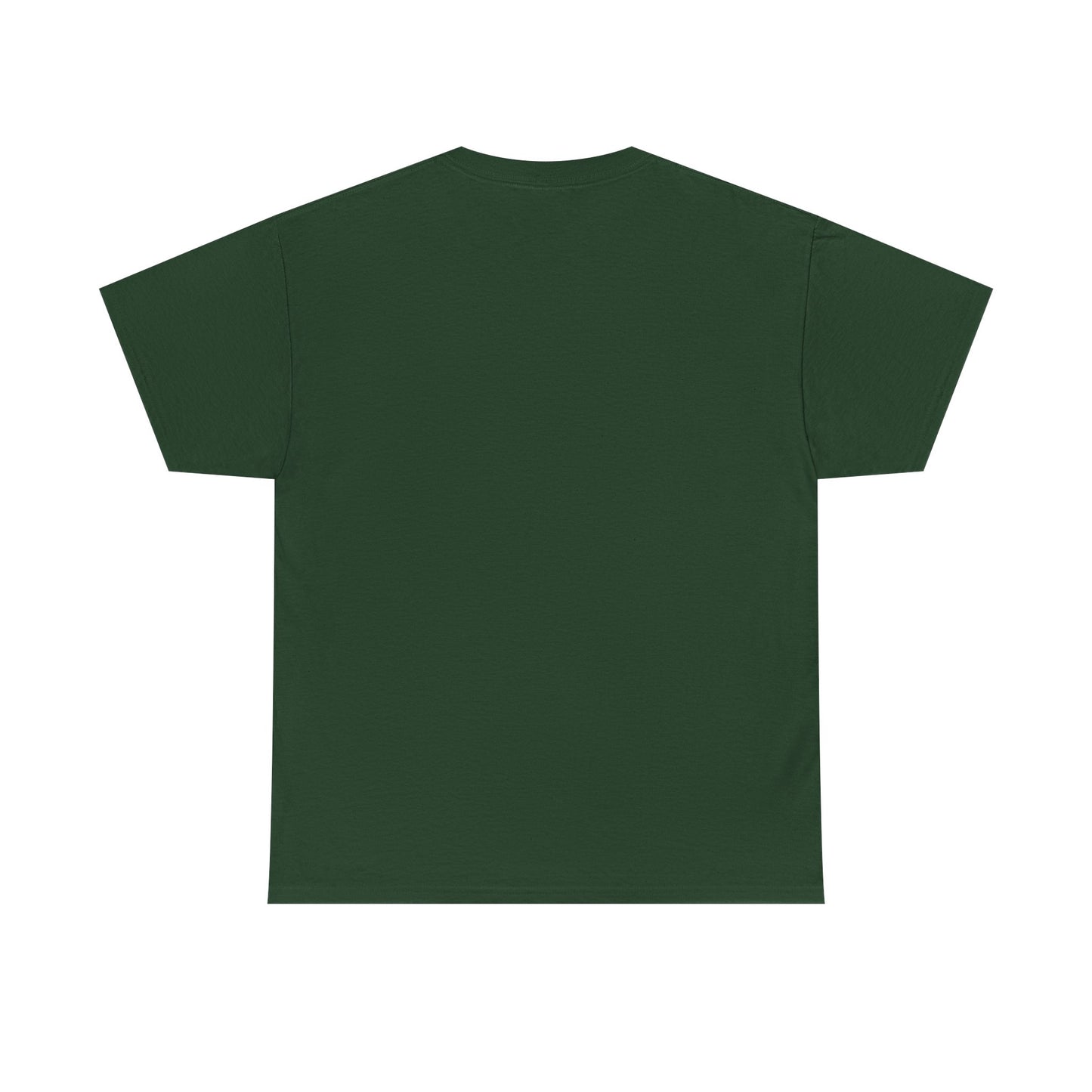 Shine Flow Prosper T-Shirt – Cosmic Manifestation Tee by Druvs