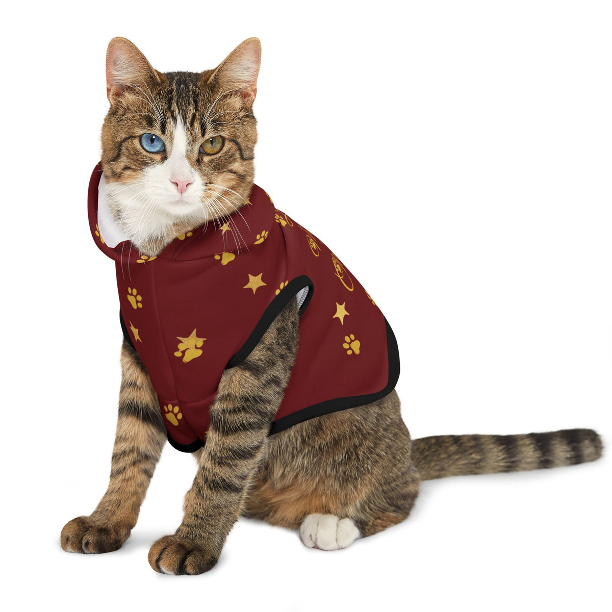 Cat sitting in red Christmas pet hoodie with black trim
