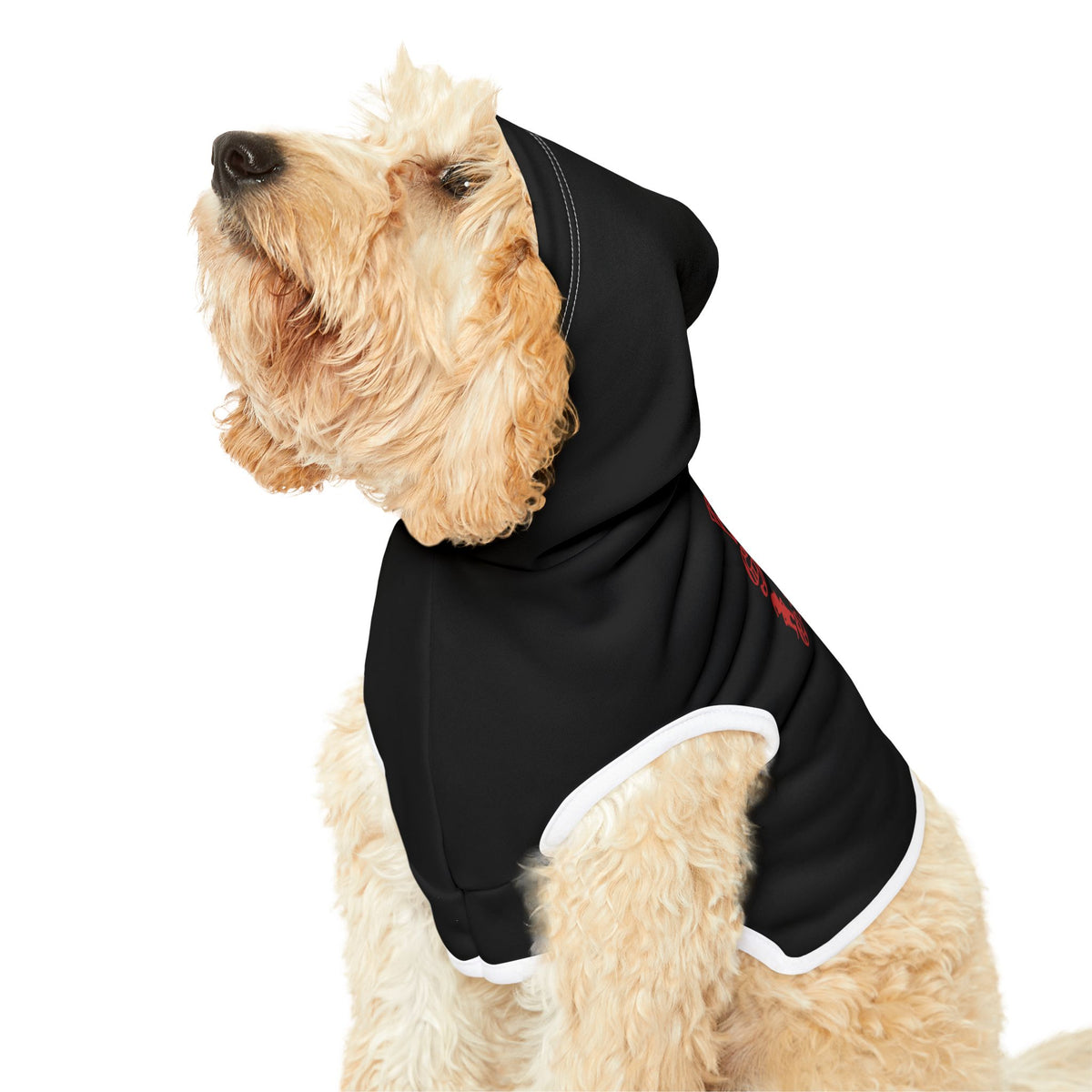 Dear Santa, I Can Explain Christmas Pet Hoodie – product photo 8 of 18