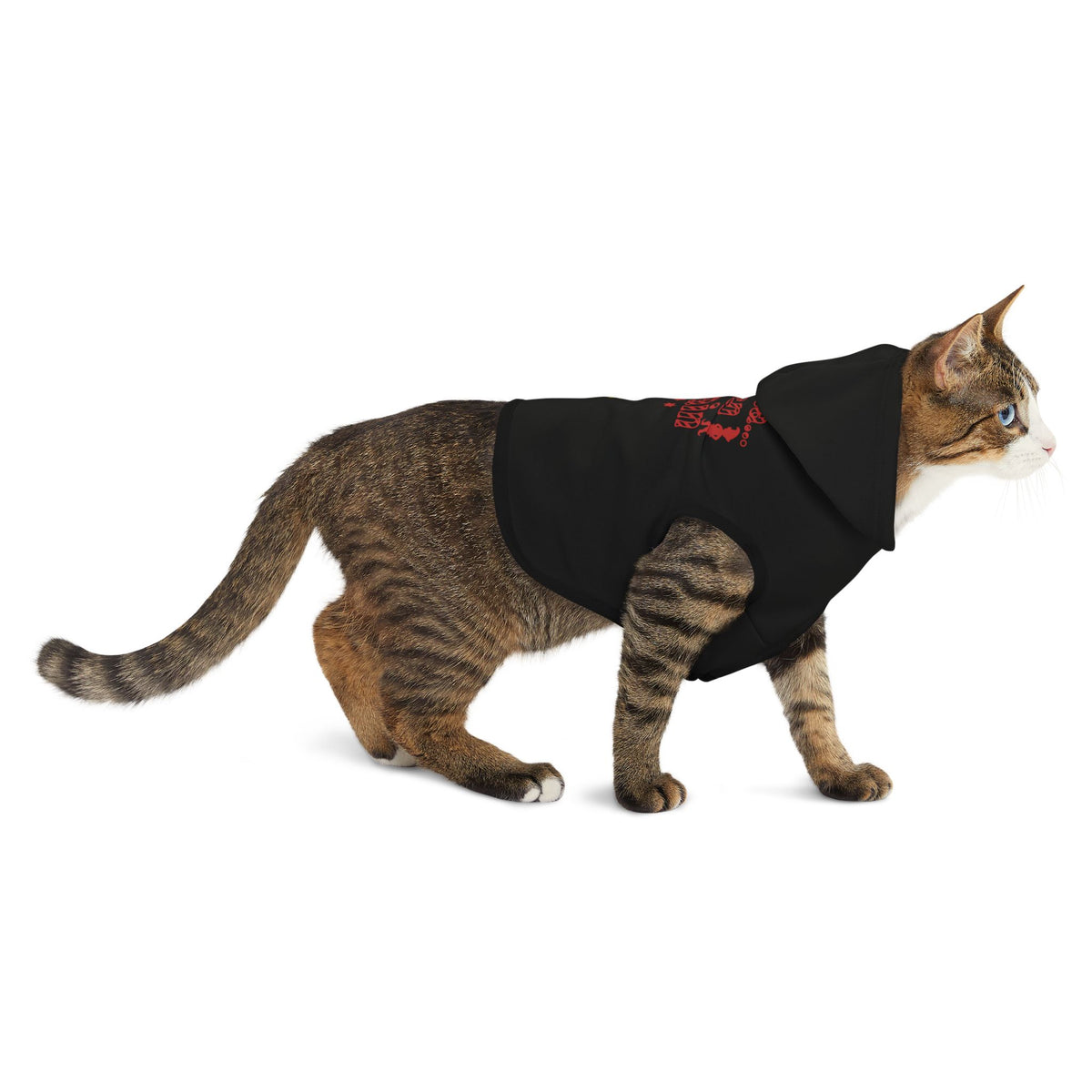 Dear Santa, I Can Explain Christmas Pet Hoodie – product photo 15 of 18