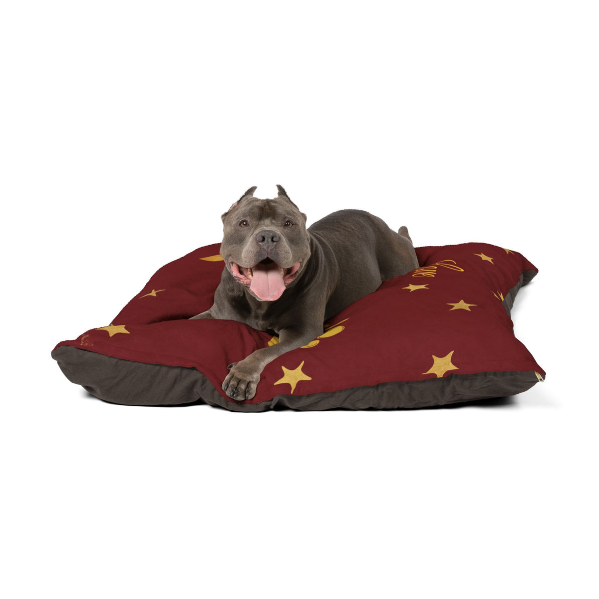 Dog reclining on Love Is the Magic of Christmas pet bed