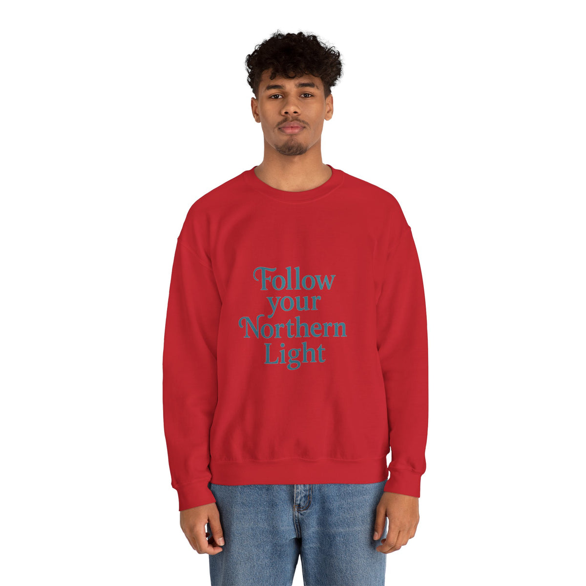 Follow Your Northern Light Affirmation Sweatshirt – product photo 54 of 56