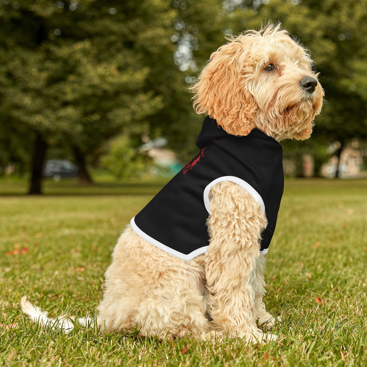 Dear Santa, I Can Explain Christmas Pet Hoodie – product photo 9 of 18