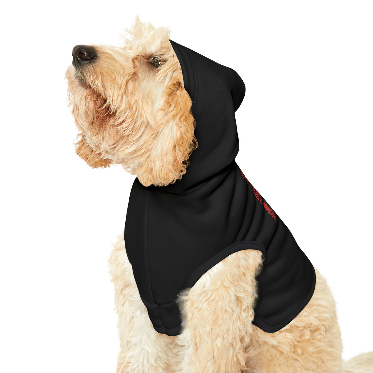 Dear Santa, I Can Explain Christmas Pet Hoodie – product photo 16 of 18