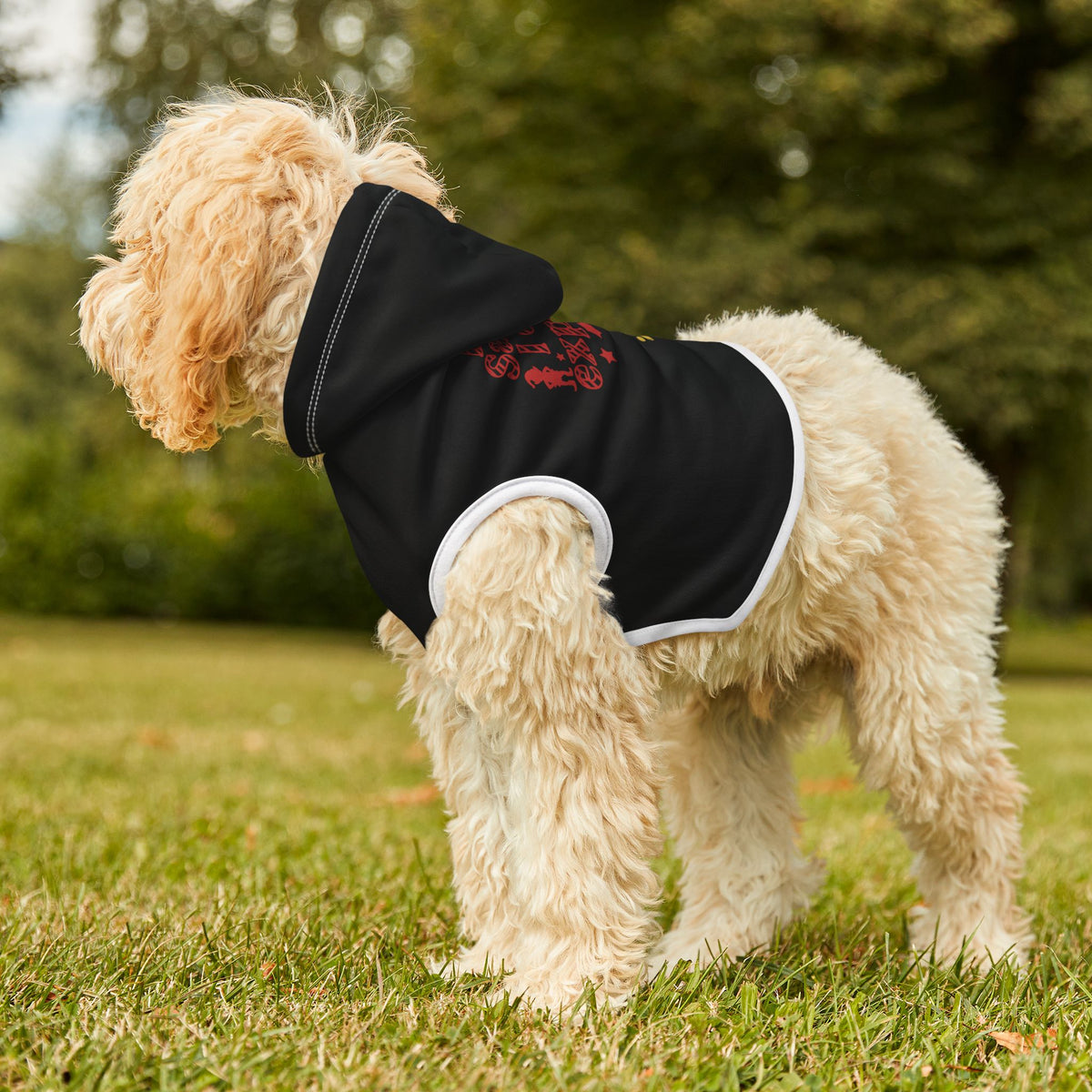 Dear Santa, I Can Explain Christmas Pet Hoodie – product photo 10 of 18