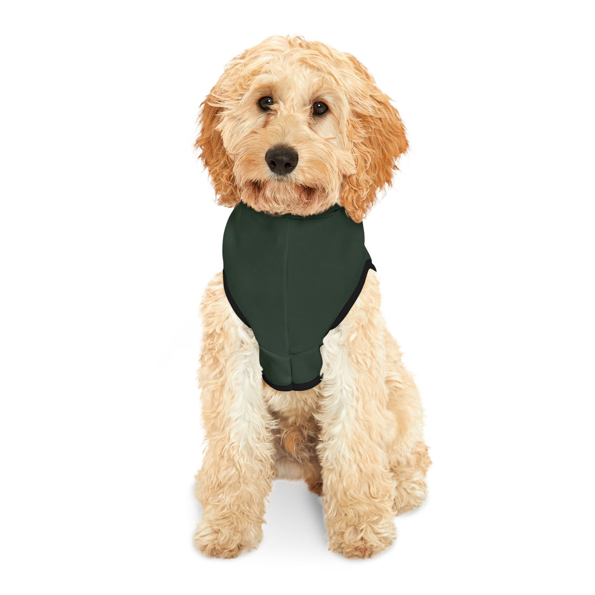 Warm Snuggles, Cold Noses Christmas Pet Hoodie – Cozy Dog Outfit – product photo 12 of 18