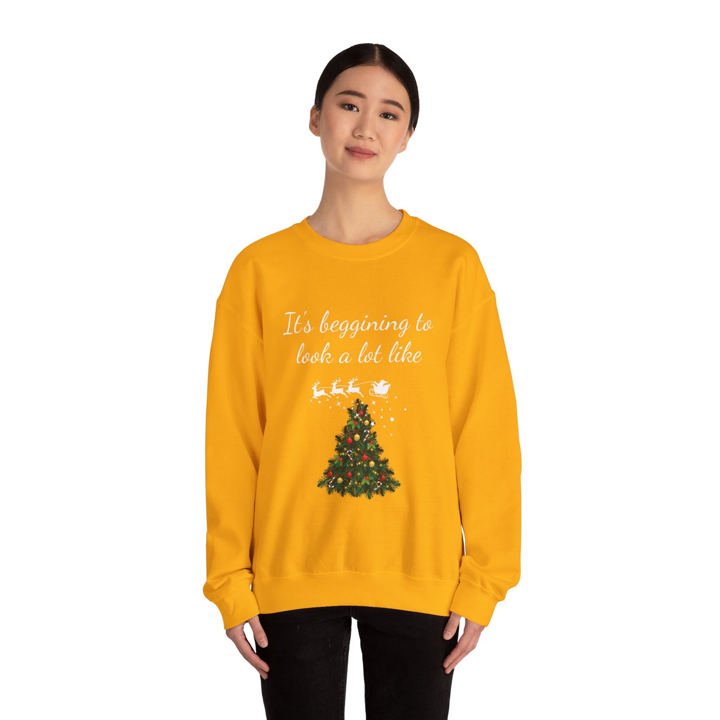 Christmas Seasonal Sweatshirt