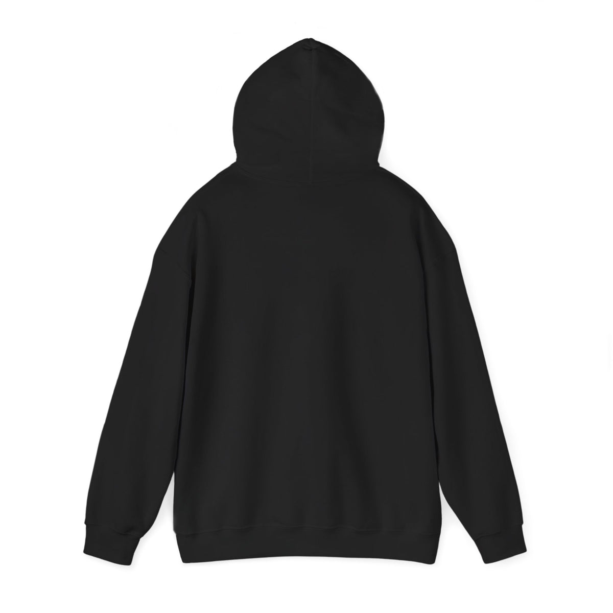black winter hoodie shown from the back