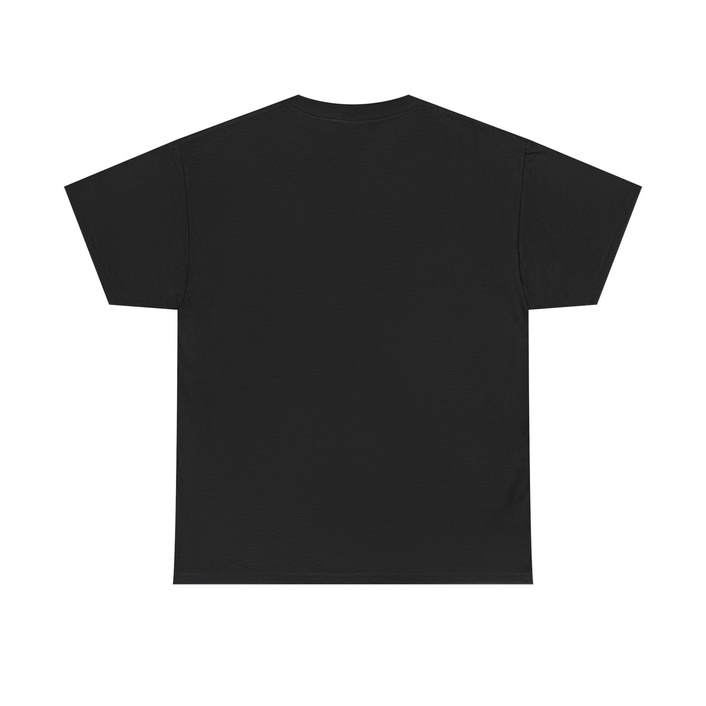 Shine Flow Prosper T-Shirt – Cosmic Manifestation Tee by Druvs