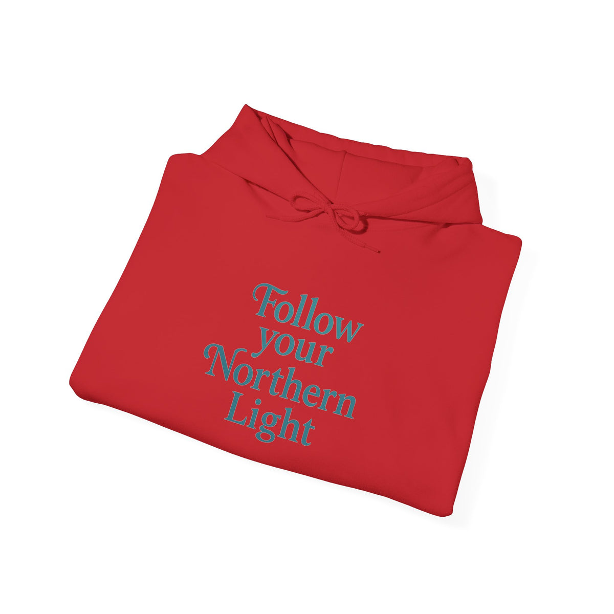 Follow Your Northern Light Unisex Hoodie – product photo 59 of 62