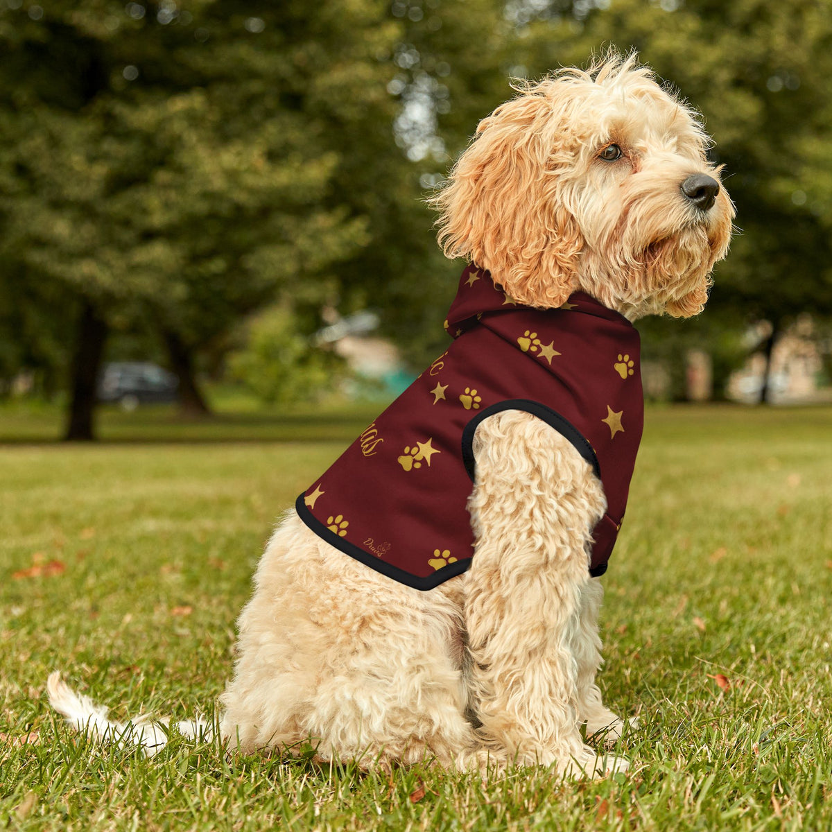 Dog seated outdoors in red Christmas pet hoodie with black trim