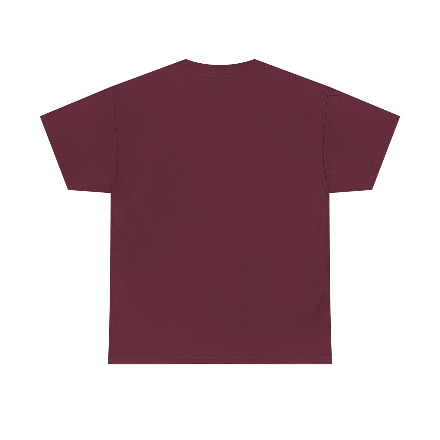 Shine Flow Prosper T-Shirt – Cosmic Manifestation Tee by Druvs