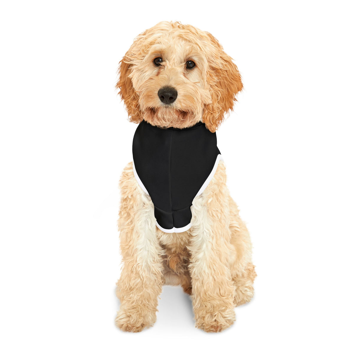Dear Santa, I Can Explain Christmas Pet Hoodie – product photo 4 of 18