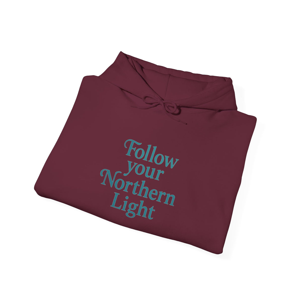 Follow Your Northern Light Unisex Hoodie – product photo 23 of 62