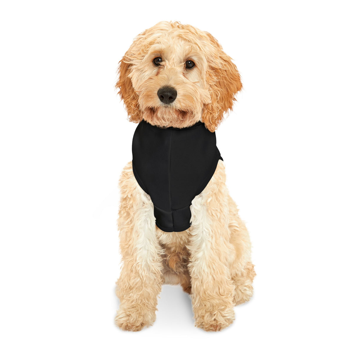 Dear Santa, I Can Explain Christmas Pet Hoodie – product photo 12 of 18