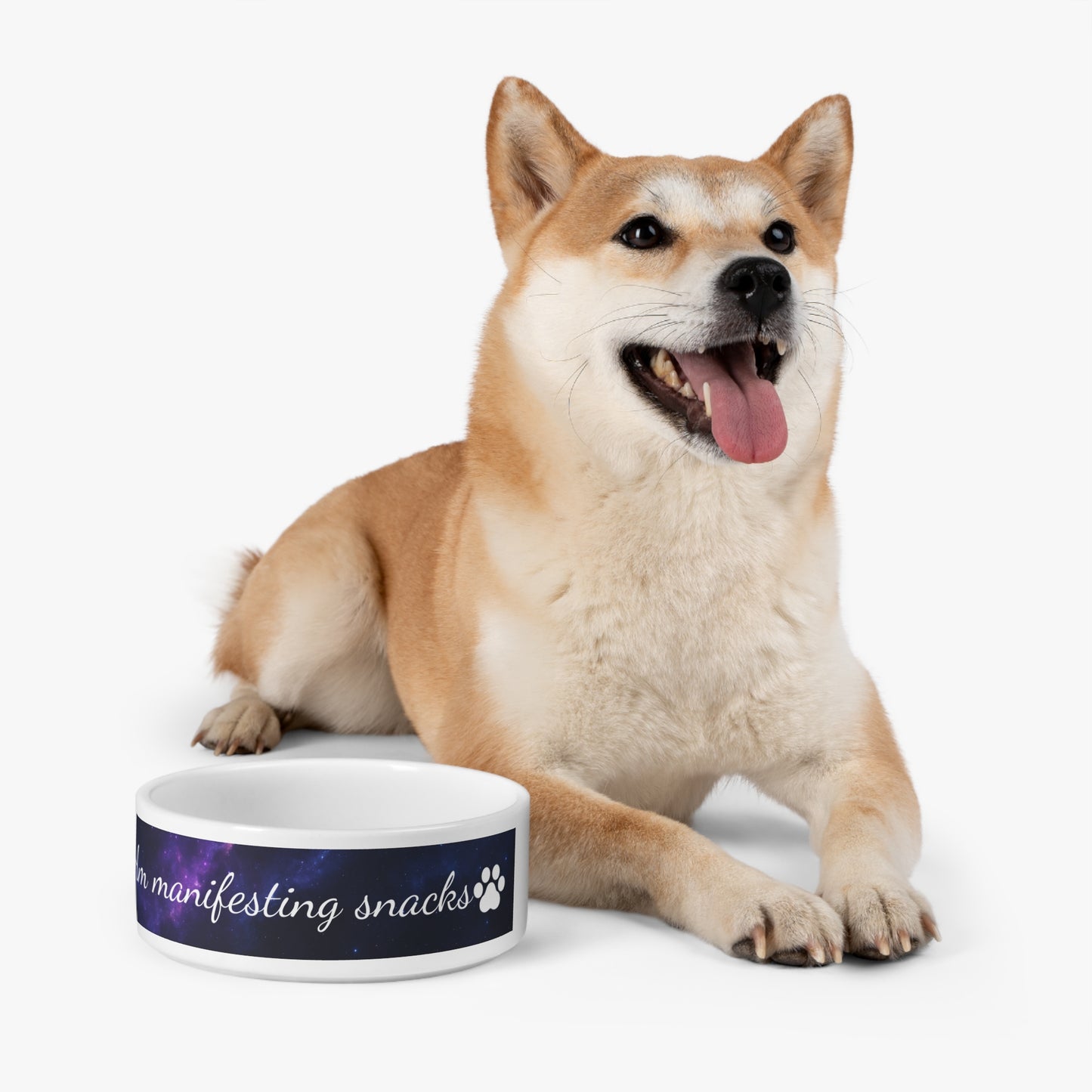 “Am Manifesting Snacks” Pet Bowl – Cosmic Edition