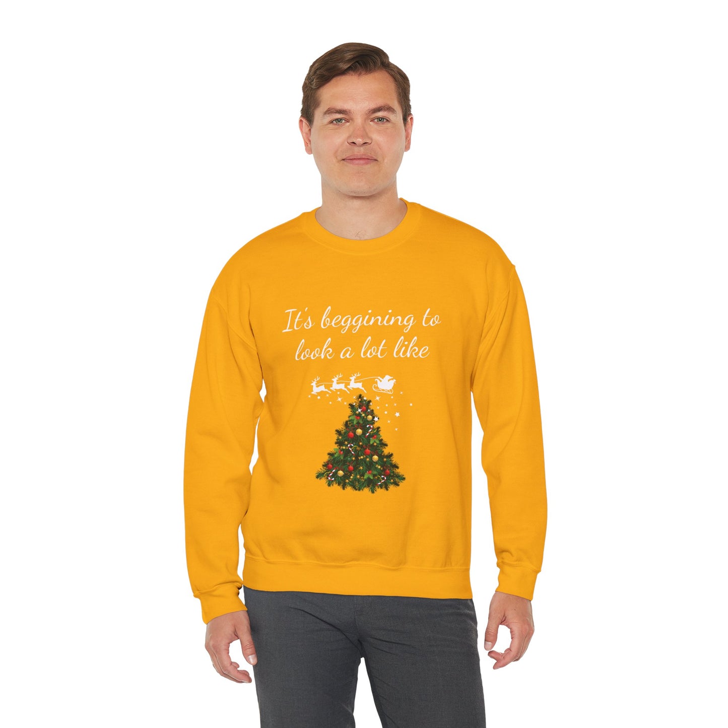 Christmas Seasonal Sweatshirt