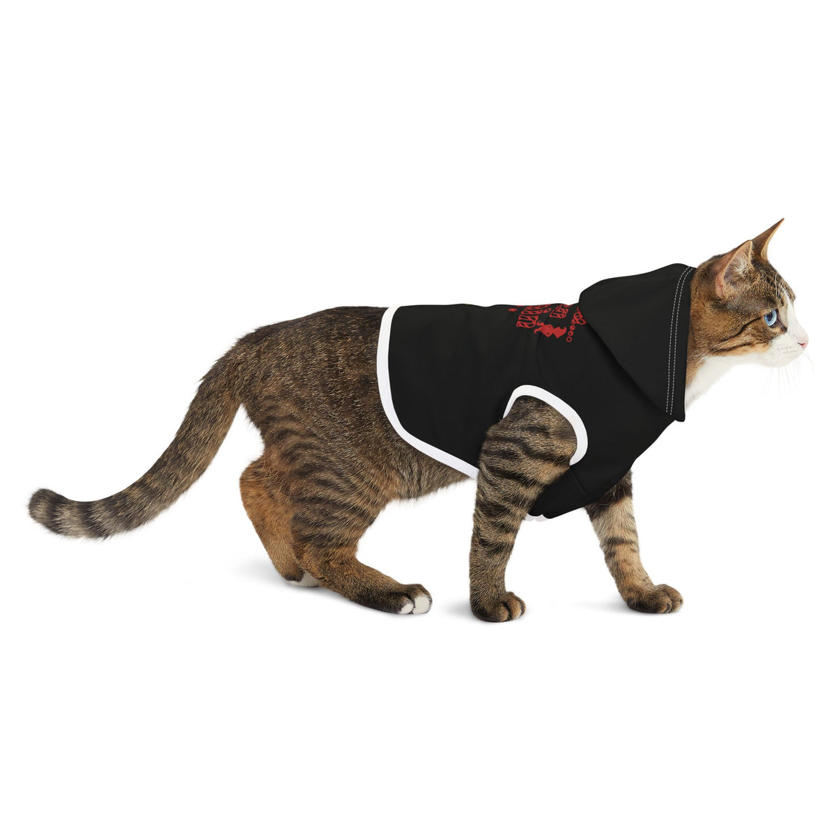 Dear Santa, I Can Explain Christmas Pet Hoodie – product photo 7 of 18