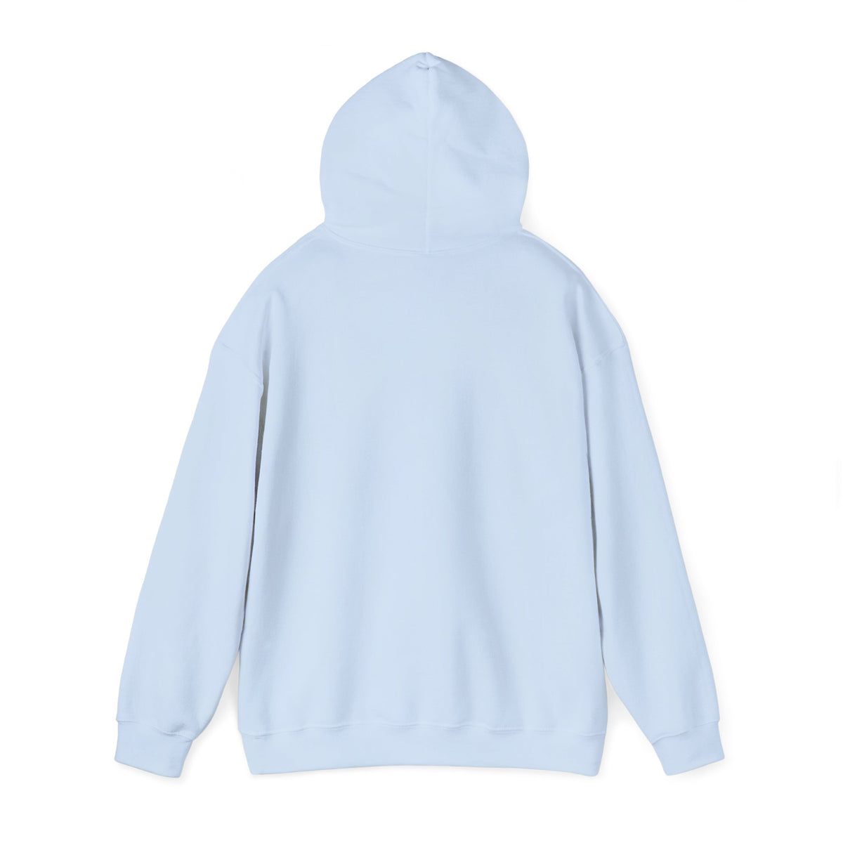light blue winter hoodie shown from the back