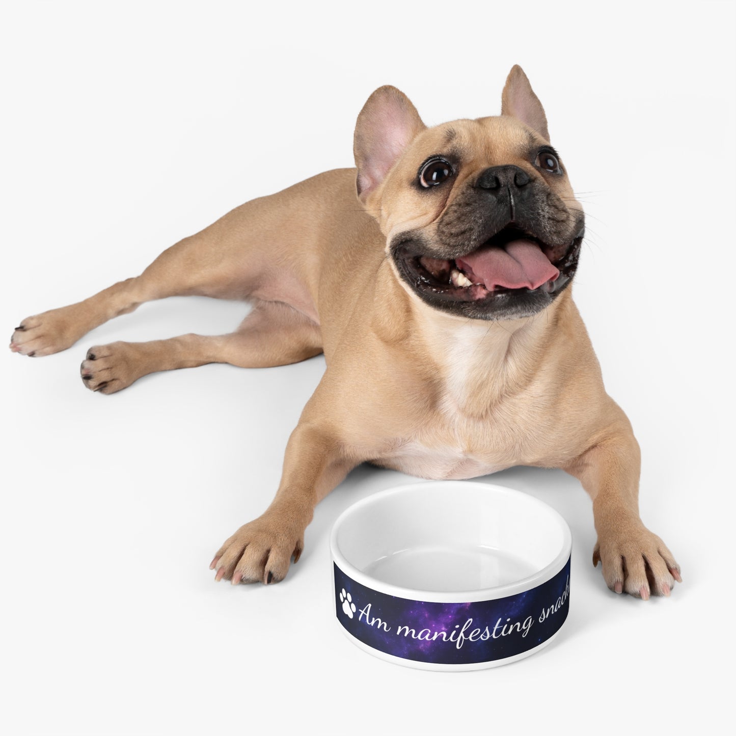 “Am Manifesting Snacks” Pet Bowl – Cosmic Edition
