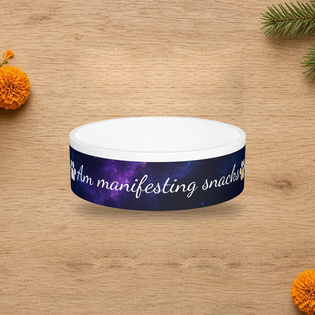 am manifesting snacks pet bowl cosmic edition
