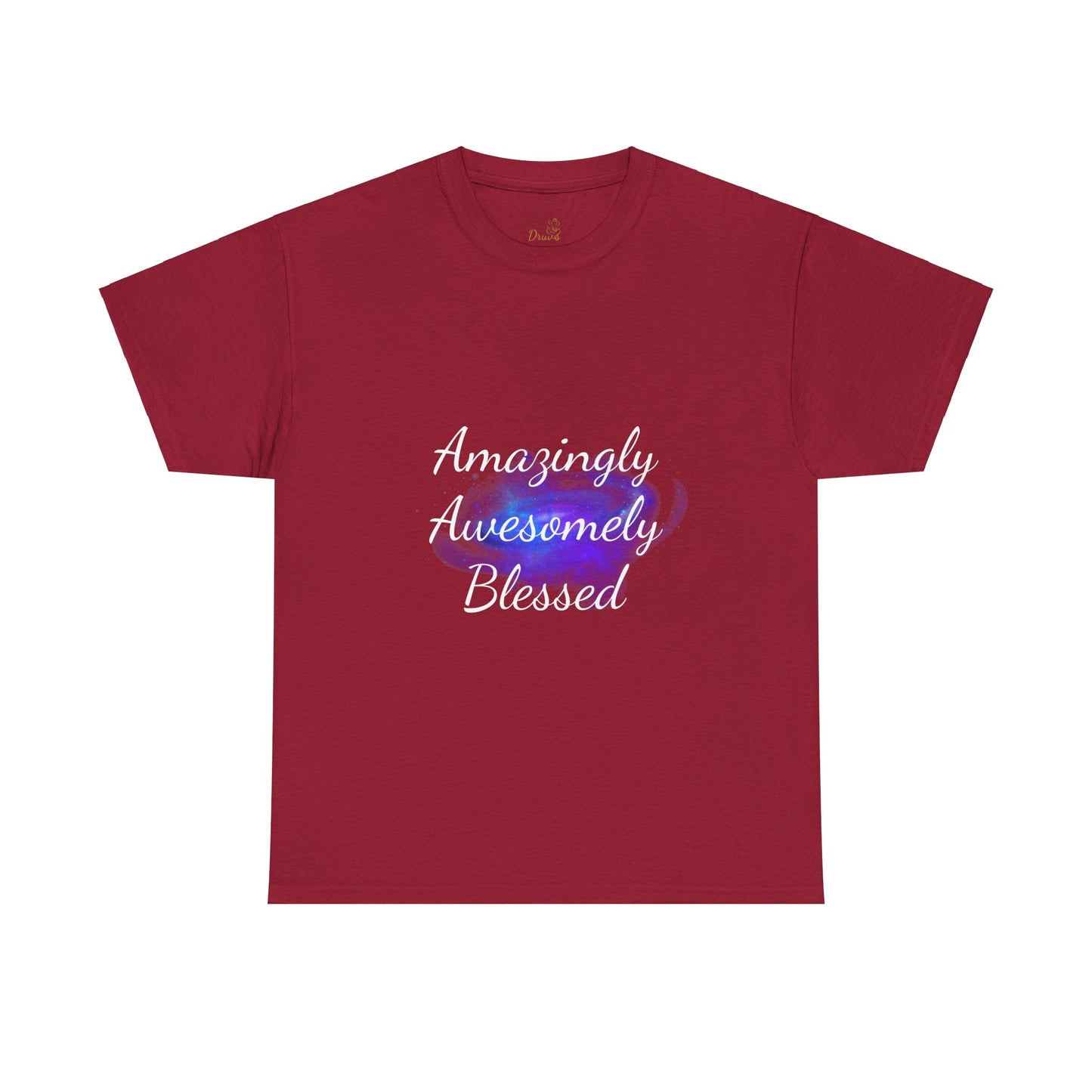 Amazingly Awesomely Blessed T-shirt - Inspirational T-shirt, Holiday Gift