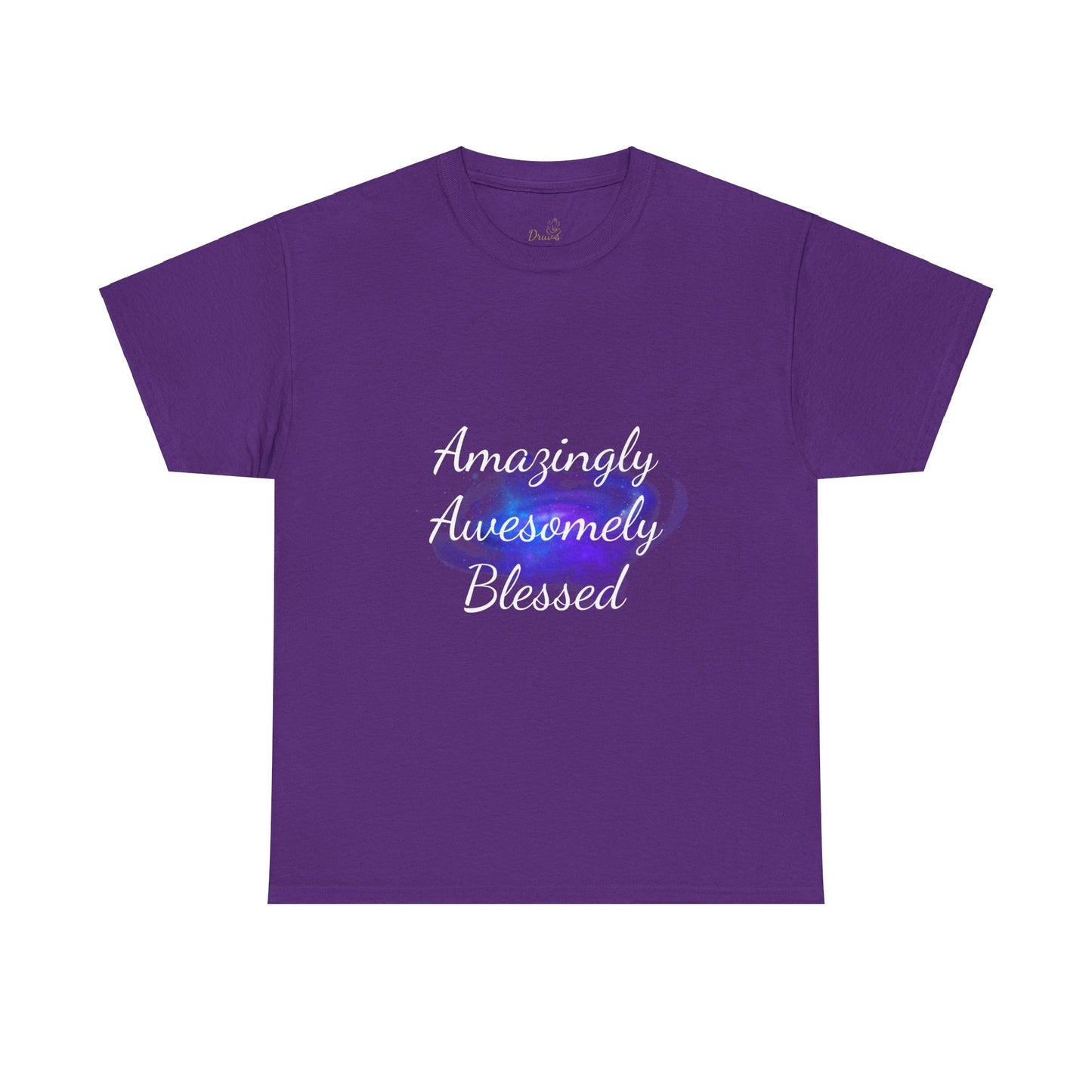 Amazingly Awesomely Blessed T-shirt - Inspirational T-shirt, Holiday Gift